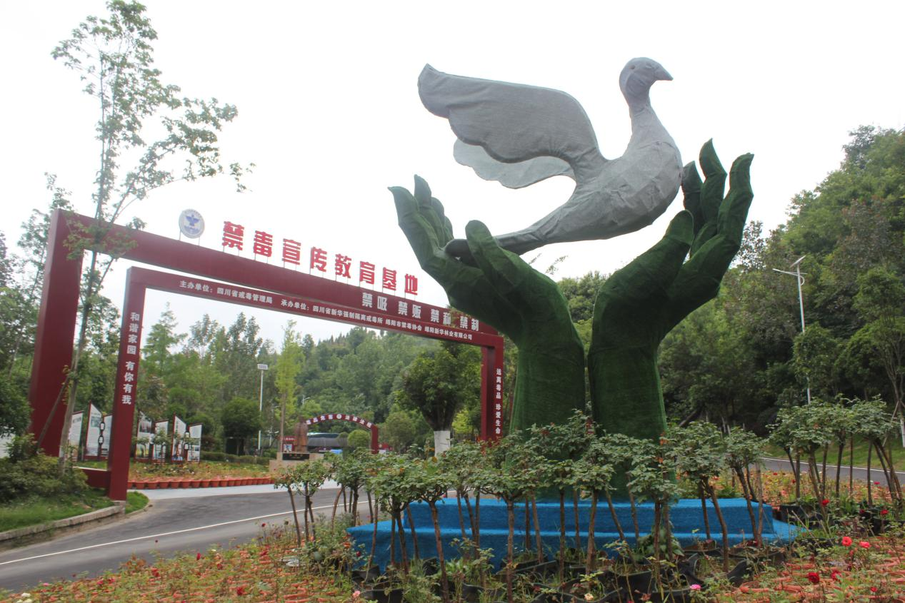 图片5.png